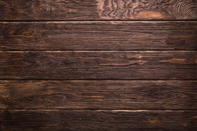 Dřevo do Akvaria: Přírodní Dekorace pro Vaši Nádrž