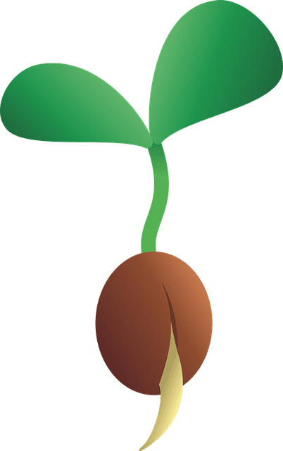 Hnojivo do Akvária: Zásady Použití pro Zdravé Rostliny