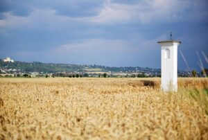 Řasokoule Olomoucký kraj: Péče a nabídka