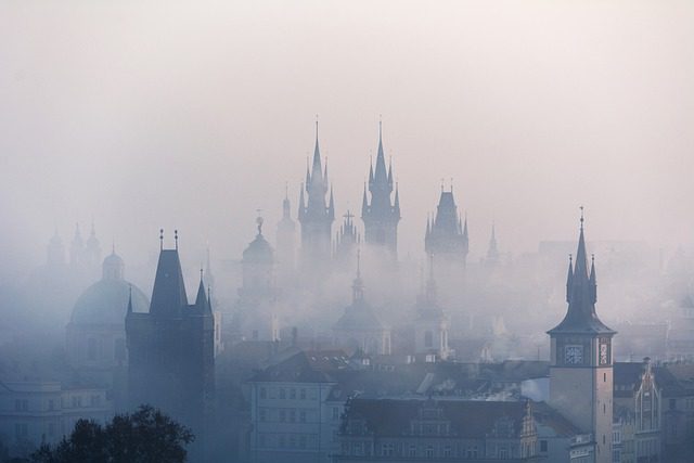 Kde koupit řasokouli Praha: Péče, cena a pěstování