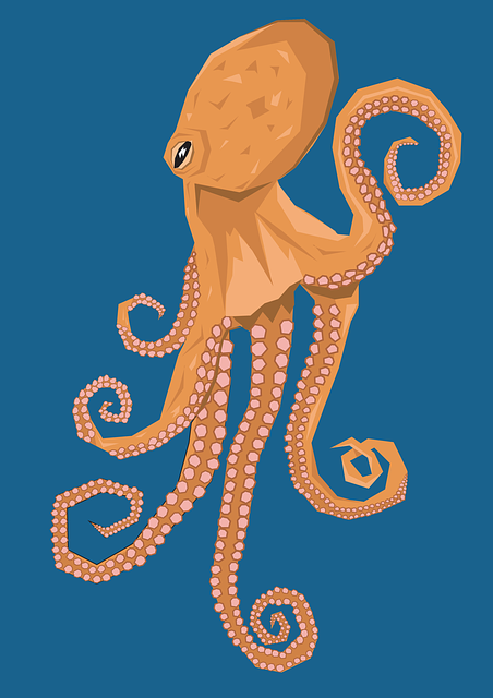 - Správná ⁣strava a krmení chobotnic‍ v ‍akváriu: Co byste měli vědět?
