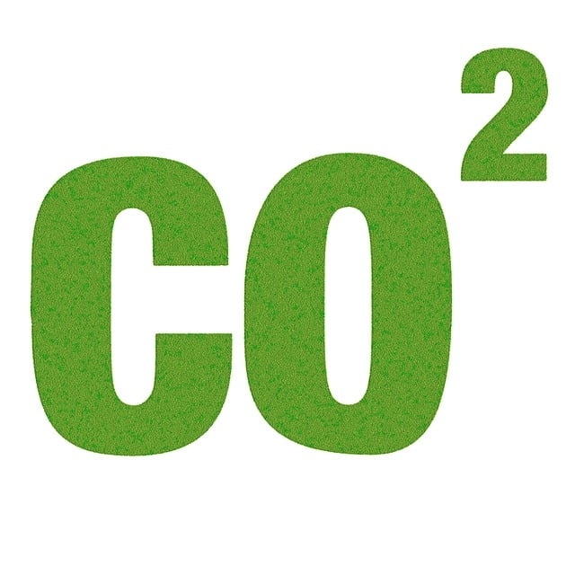 Důležitost CO2 pro ⁤zdravý vývoj rostlin v akváriu