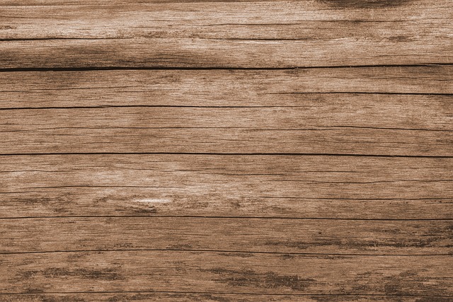 1. Úvod do používání dřeva pro terária: Co potřebujete vědět