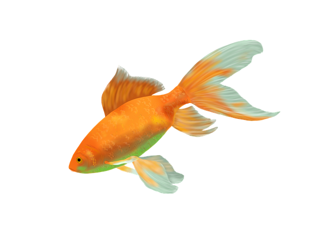 1. Výhody krmení akvarijních ryb mrazeným krmivem