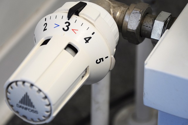 1. Úvod do termostatů pro terária: Jaký je význam správné kontroly teploty?