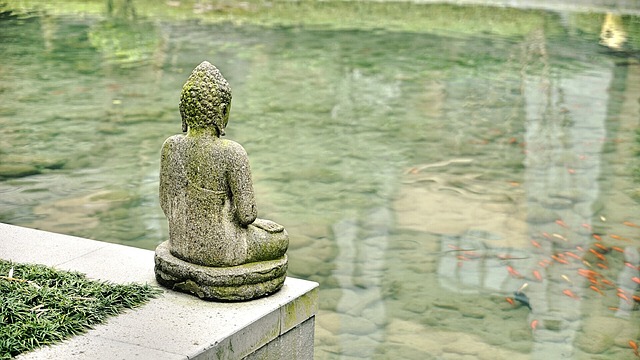 2. Jak vybrat⁤ správné⁤ Buddha sochy pro vaše akvárium