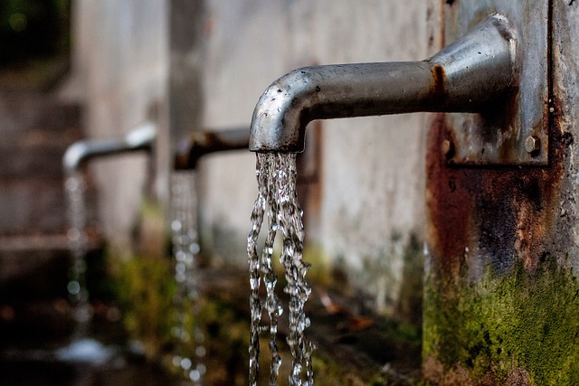 4. Účinné způsoby čištění fontán pro terária: Jak udržet vodu čistou a zdravou