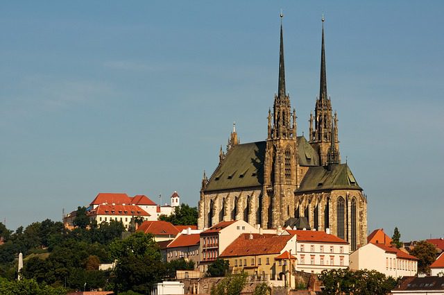 Řasokoule Brno Olomouc: Péče a nabídka